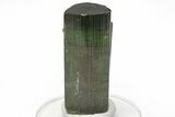 Bicolor Elbaite Watermelon Tourmaline Cluster - Brazil #217548-2